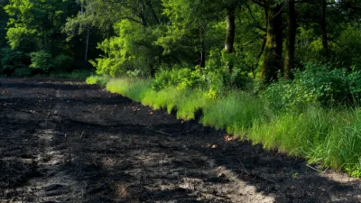 Thilouze : 29 hectares brûlés, les agriculteurs en renfort des pompiers