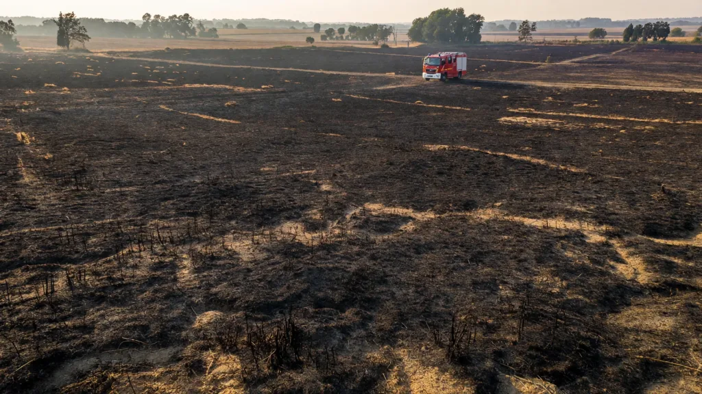 Thiviers : 7 hectares de pré ravagés, 62 pompiers et agriculteurs mobilisés