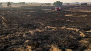 Thiviers : 7 hectares de pré ravagés, 62 pompiers et agriculteurs mobilisés