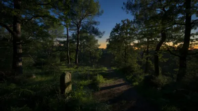 Toscane : un loup tue une chienne qui protégeait un enfant de 2 ans dans un jardin