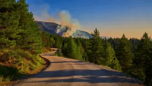 Tour de France 2026 : canicule et incendie perturbent la course