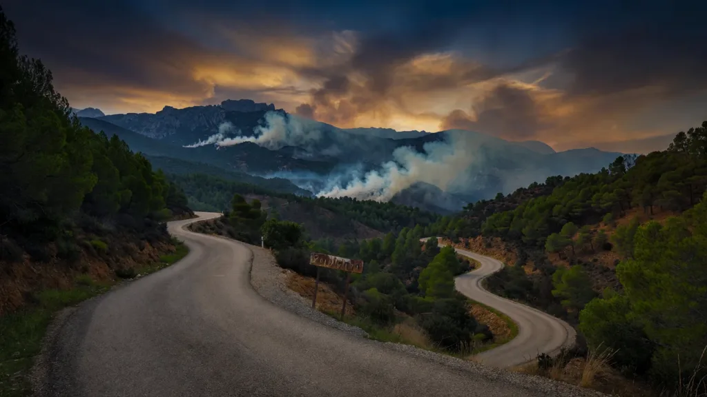 Tour de France 2026 : Isaac Del Toro remporte sa première étape grâce à un geste de Pogacar