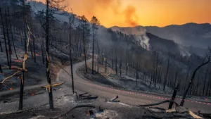 Tour de France 2026 : l'étape 3 interdite au public dans les Pyrénées-Orientales à cause des incendies