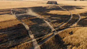 Toutainville : un agriculteur stoppe un feu de chaume avant les pompiers