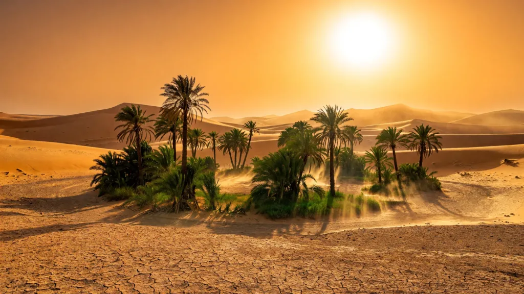 Tunisie : jusqu'à 45°C attendus ce samedi, vigilance maximale