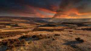 Vague de chaleur record et risque « exceptionnel » d&rsquo;incendies au Royaume-Uni