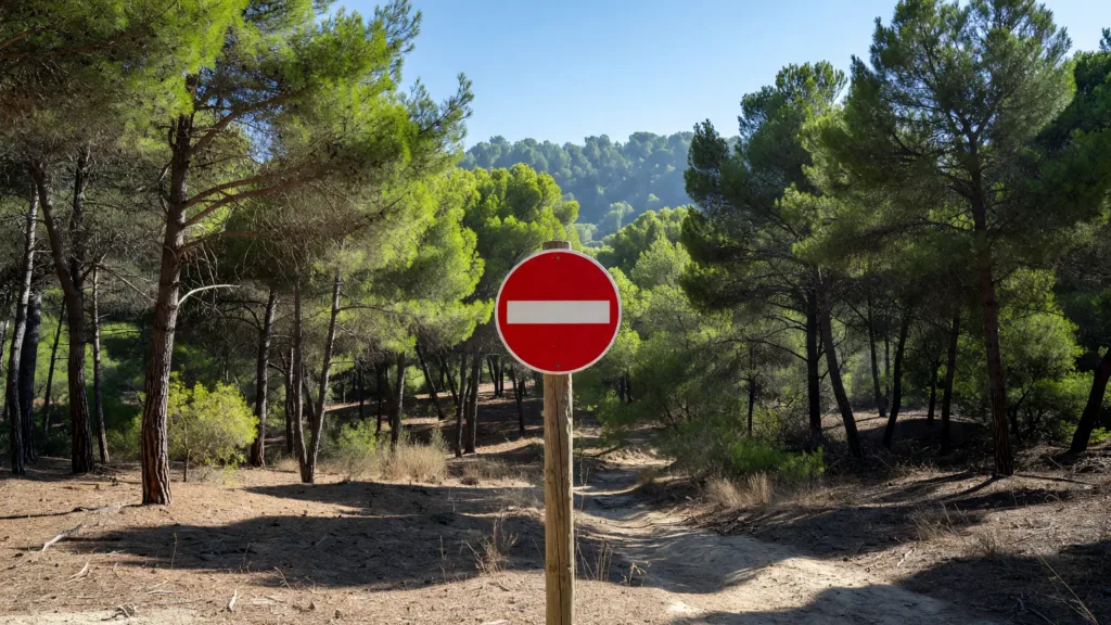 Var : le préfet interdit toute manifestation dans les massifs forestiers ce week-end