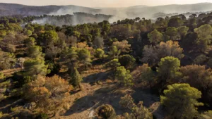 Var : manifestations et barbecues interdits ce jeudi face au risque maximal