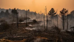 Var : un homme de 23 ans mis en examen pour incendies volontaires