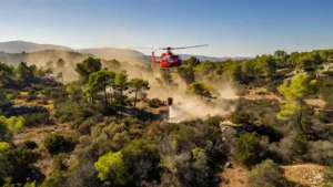 Vaucluse : +30 % de feux de végétation, le SDIS 84 mobilise 810 pompiers