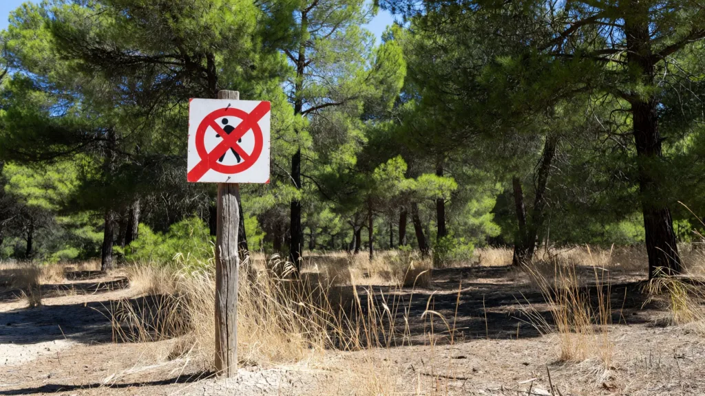 Vaucluse : trois massifs forestiers fermés ce lundi pour risque incendie