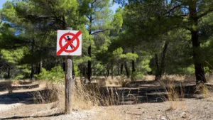 Vaucluse : trois massifs forestiers fermés ce lundi pour risque incendie