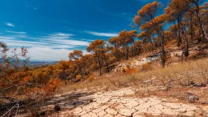 Vaucluse : vigilance rouge incendie ce mardi, massifs sous restriction