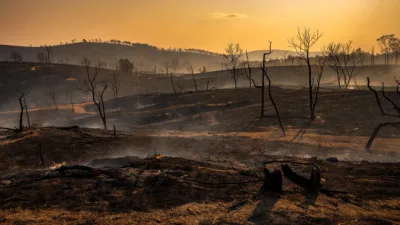 Vienne : 56 hectares brûlés dans un incendie suspect à Saint-Pierre-de-Maillé