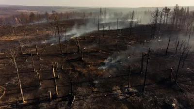 Vienne : 56 hectares ravagés par un incendie suspect à Saint-Pierre-de-Maillé