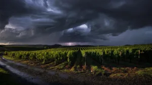Vigilance orange orages en Saône-et-Loire ce 31 juillet