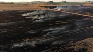 Villy-Bocage : 10 hectares brûlés, un pompier hospitalisé