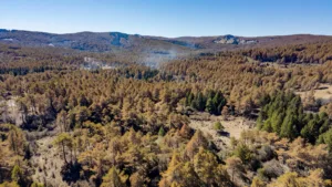 Vosges : risque incendie modéré maintenu jusqu&rsquo;au 27 juillet