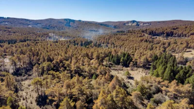 Vosges : risque incendie modéré maintenu jusqu'au 27 juillet