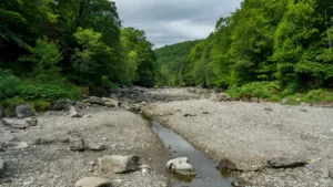 Vosges : tout le département passe au niveau « crise » sécheresse