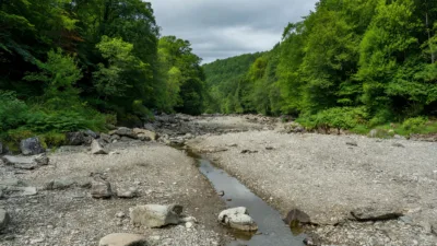 Vosges : tout le département passe au niveau « crise » sécheresse