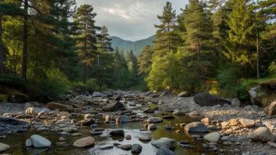 Vosges : tout le département placé en crise sécheresse dès ce vendredi