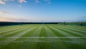 Wimbledon 2026 : Adrian Mannarino éliminé par Alex De Minaur, les pronostics respectés