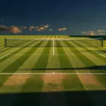 Wimbledon 2026 : sans Alcaraz, Sinner file seul vers un 2e titre