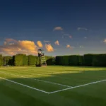 Wimbledon 2026 : Sinner et Djokovic passent, Ruud et Rublev sortent