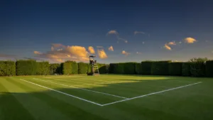 Wimbledon 2026 : Sinner et Djokovic passent, Ruud et Rublev sortent