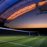 Wimbledon : les parieurs français misent sur Djokovic contre Auger-Aliassime