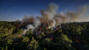 Yerres : 5 hectares de forêt brûlés, l&rsquo;incendie de la Grange désormais éteint
