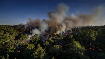 Yerres : 5 hectares de forêt brûlés, l'incendie de la Grange désormais éteint