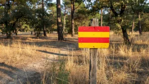 Yvelines en vigilance orange feux de forêt ce 29 juillet